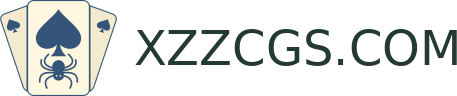 XZZCGS.COM